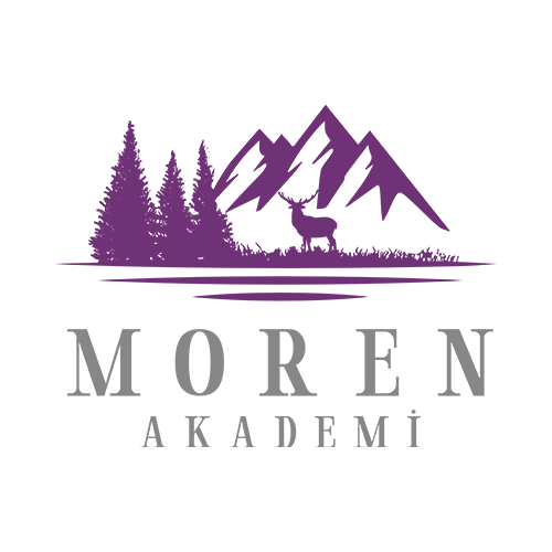 Moren Akademi