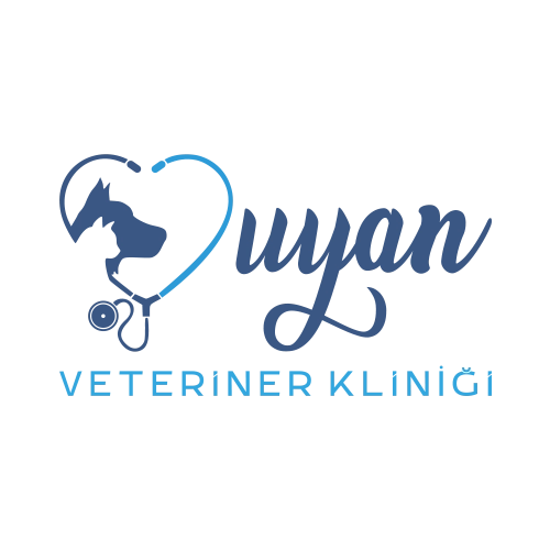 Uyan Veteriner Kliniği